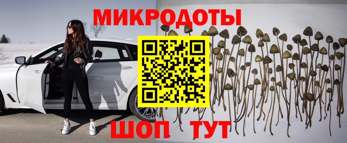 Чита  Галлюциногенные грибы Psilocybe  Вход с VPN  Псилоцибиновые грибы Cubensis 